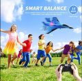 Remote Control Large 2.4 G Aircraft RC Foam Plane Large Size Zy 740Pro. 