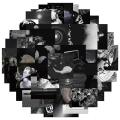 50Pcs Cool Black and White Stickers Aesthetic Cute Geometric Animals Decals for Laptop Luggage Car Styling Art Supply Sticker. 