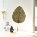 Dried Palm Leaves Room Decor 5 Pieces - 18Inch H x 10Inch W Palm Leaf. 