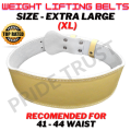 Weight Lifting Belts, Size XL, XXL AND XXXL Export Quality. 