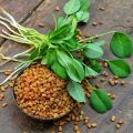 Fenugreek (Kasoori Methi) Desi OP Seeds (100 Seeds Pack) for Household Gardening - Premium Quality Pakistani Methi Seeds. 