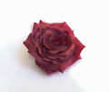 Elegant Handmade 3D Flower for clothes - Embellishments for Couture and Craft - 3D Fancy Flower. 