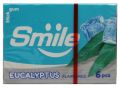 Smile Chewing Gum-(Pack of 5 different flavours | Imported Bubble Gum | Cinnamon, Lemon, Peppermint, Strawberry, Eucalyptus). 