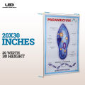 Paramecium Wall Poster | Wall Chart For Science Labs Decoration | Paramecium Structure Presentation on 200 grams Laminated Card 20*30 inches. 