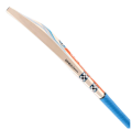 GRAY NICOLLS Hard Ball Cricket Bat 2025 – HIGH QUALITY | Best Price in Pakistan 🏏–TM Sports.. 