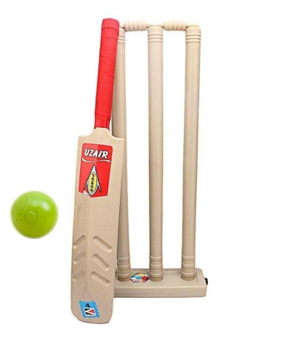 Cricket Bat & Ball with Wicket Set For Kids