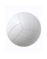 Mehtab Volley Ball (Champion) - Free. 