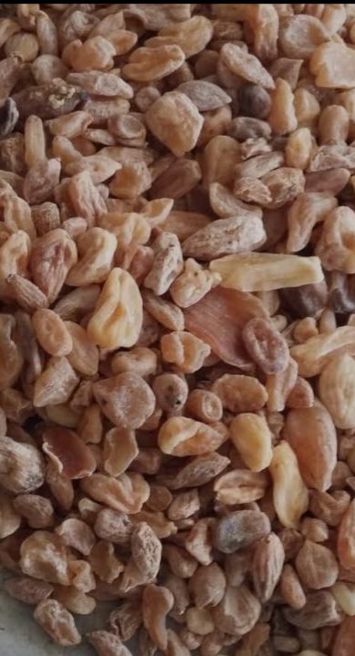 Salab misri | Salam misri | misri | 10 Gram