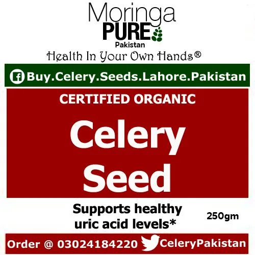 Celery%20Seeds%20from%20Pakistan%20250%20GM%20-%20Image%203