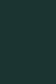 Maries Oil Colour 170ml (Sap Green). 