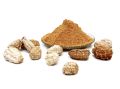 Shirish Masala Kachri Powder 200 Gram | Organically Grown Kaachri Powder Tenderizer (200 Gram). 
