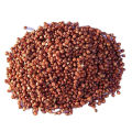 Red Sorghum Grains (Laal Jowar) (1 KG). 