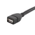 DOONJIEY USB 2.0 A Female to 3 RCA Male Audio Video AV Adapter Cable for PC TV. 