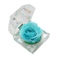 Ring Holder All Match Micro Landscape Forever Rose Ring Box. 