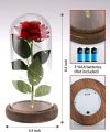 Valentine's Day Gift for Her, Beauty and The Beast Rose Flowers, Rose Flower Gifts for Women, Unique Present for Her on Thanksgiving  Valentines Day Anniversary. 