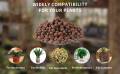 Clay Pebbles , Clay Balls  (10 MM size), lica Balls, Hydroponic clay balls Natural Clay Pebbles for Hydroponic & Aquaponics Growing, Orchid Potting Mix,  250 Gram & 500 gram. 