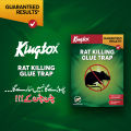 Kingtox Rat Killing Glue Trap. 