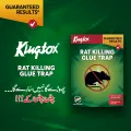 Kingtox Rat Killing Glue Trap. 