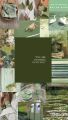 20-Pack Sage Green Aesthetic Wall Collage Kits, 4x6 Inch Photo Cards, Premium Glossy Paper. 