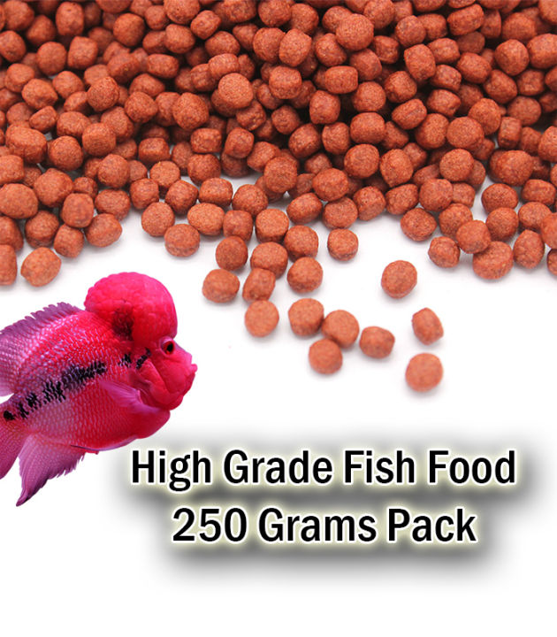 Aquarium%20Fish%20Food%20High%20Grade%20250%20Grams%20Pack%20Best%20High%20Protein%20Food%20For%20Aquarium%20Fish%20-%20Image%202