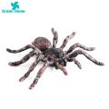 Spider Toy for Children Halloween Spider Model Ornament Simulation Plastic Figurine Kids Toy Desktop Garden Tricky Gift Spider Decoration for Home. 