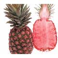 30pcs Red Pineapple Fruit Seeds. 