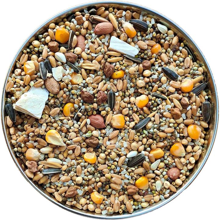 The Birds Company Premium Seed Blend of 9 Grains & Nuts with Spirulina & Cuttlefish Bone, Bird Feeder Food Refill, Mix Seeds for Wild Birds,  Parrot, Sparrow,  1kg