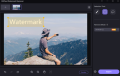 HitPaw Watermark Remover : A software program that can remove watermarks from images and videos .(Lifetime Activated). 