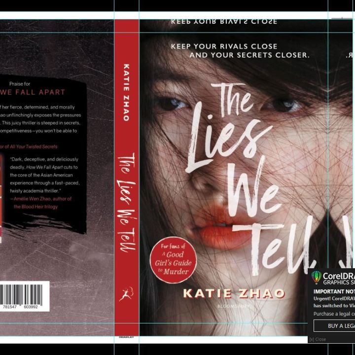 The Lies We Tell by Katie Zhao