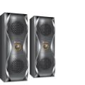 Flex Multimedia Speaker Black (F-600) LED display with Remote-control & RGB Lights.. 