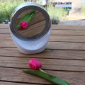 Beurer BS-49 Lighted Cosmetic Mirror. 
