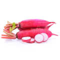 Long Red Radish (Laal Moli) Seeds For Home Kitchen Garden. 