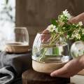Glass Planter Plant Propagating Jar Desktop Planter for Home Indoor Garden Small. 