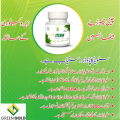 Greengold Stevia Sweetener Powder – Zero Calorie, 100x Sweeter than Sugar – 100% Natural and Chemical-Free – Perfect Sugar Substitute. 