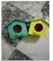 Birds Huts Wooden Finches, Gouldian, Java Small Size (Pack of 4). 