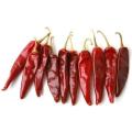 Dry Red Chilli 50gm. 