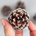 Pine Cone Crafts For Christmas Tree Pine Cones With String Holiday Decorations String Christmas Pine Cone Ornaments Crafts. 