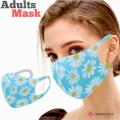 3d Fashion Face Mask Cute Washable Reusable Cotton Ice Silk Face Mask For Adults. 
