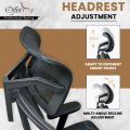 Ergonomic Executive Chair with Adjustable Lumbar Support -M-30HR ( Upgraded Version ) - 3 Years Warranty. 