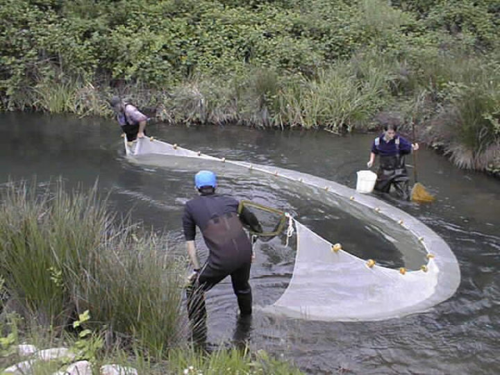 Fishing%20net%2050/100%20Feet%20Long%20-%20Image%207