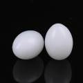 10Pcs White Solid Plastic Solid Pigeon Eggs Dummy Fake Eggs Hatching Supplies. 