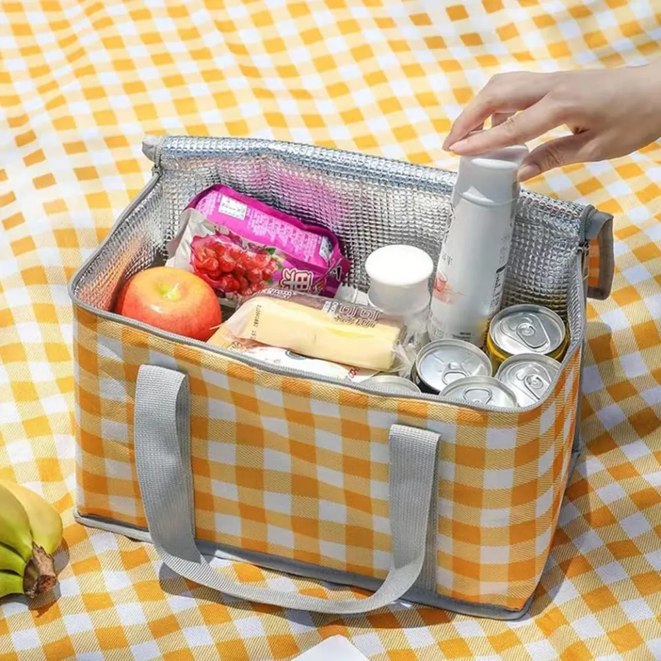 Insulated picnic cooler online