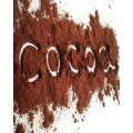 Cocoa Powder / Chocolate Powder 1000 Gm (1 Pcs). 