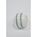 Super Test Cricket Hard Ball White. 
