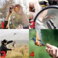 Garden Catching Bird Trap Net Anti Bird Mist Net Mesh Protection Fruit Crop Not Hurt Bird Orchard Protection Bird Net Tools（4X2M）. 
