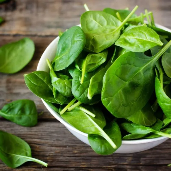 Spinach%20seeds%20(Palak%20k%20beej%20)(%D9%BE%D8%A7%D9%84%DA%A9%20%DA%A9%DB%92%20%D8%A8%DB%8C%D8%AC)Desi/Germinated/Best%20Quality/Fast%20growing/Excellent%20Germination/High%20Quality/Healthy%20Vegetable%20Seeds/Vegetable/Home/Kitchen/Gardening%20seeds/beej/Vegetables%20Seeds%20Packet%20-%20Image%204