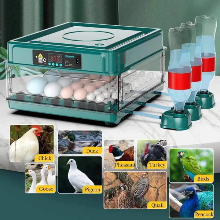 30%20Chicken%20Eggs%20Automatic%20Incubator%20with%20Automatic%20Egg%20Turner%20&%20Built-in%20Candler%20-%20Auto%20Water%20Refill%20System%20-%20Image%208