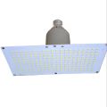 100 W LED Flood Light For Rooms - Bright Led Light For Homes & Shops. 