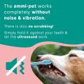 Pet Electric Toothbrush & Toothpaste - Oral & Skin Care Set for Pets - 100% Ultrasound Cleans Completely Silently - no Bristle Movements and no Vibration - for Cleaner Teeth / Healthier Gums / Fresher Breath. 