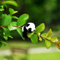 1Pc Cartoon Cute Soft Plush Panda Fridge Strong Magnet Refrigerator Sticker Belly Filling Cotton Home Decor Souvenir Accessories. 